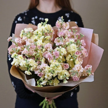 Желтая и персиковая маттиола