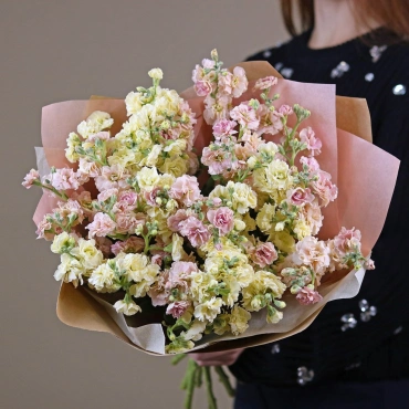 Желтая и персиковая маттиола