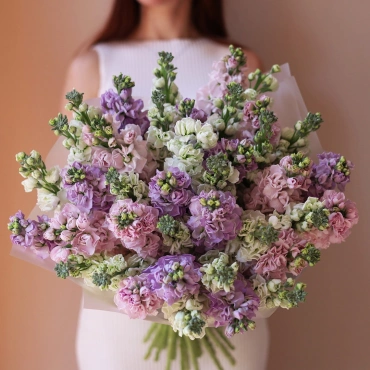 Букет разноцветной маттиолы