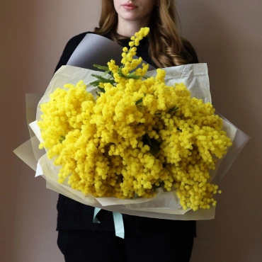 Букет мимозы