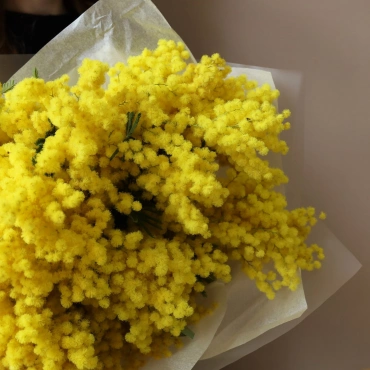 Букет мимозы