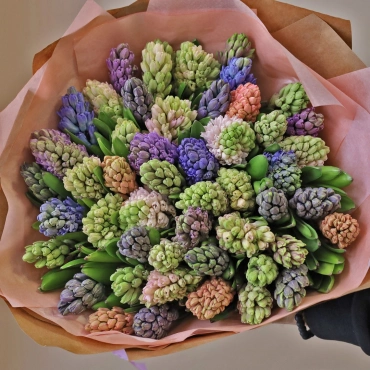 Большой букет гиацинтов