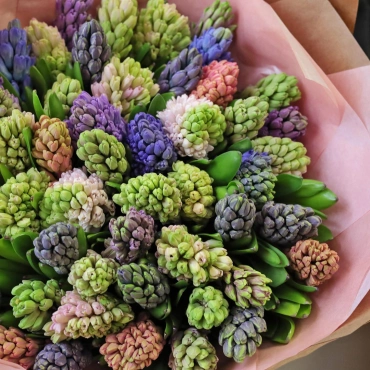 Большой букет гиацинтов