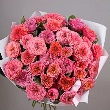 Роза Риджентс парк