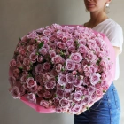 49 кустовых роз