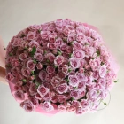 49 кустовых роз