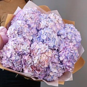 Букет двухцветной гортензии