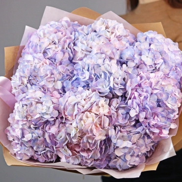 Букет двухцветной гортензии