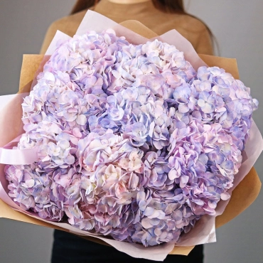 Букет двухцветной гортензии