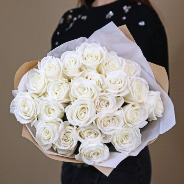 Роза Плая Бланка