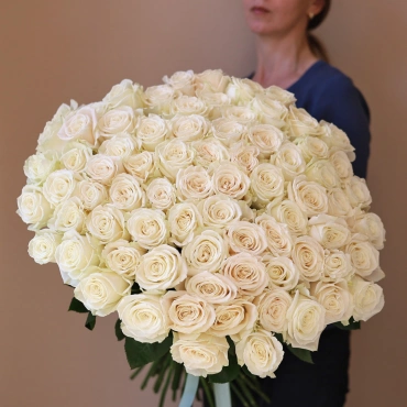 Роза Плая Бланка