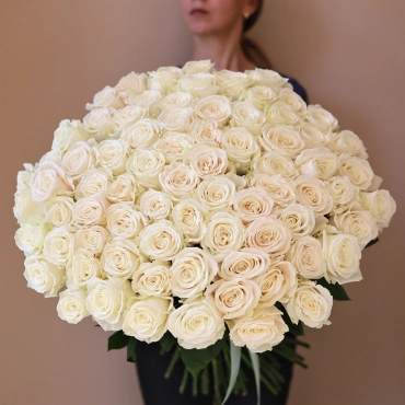 Роза Плая Бланка