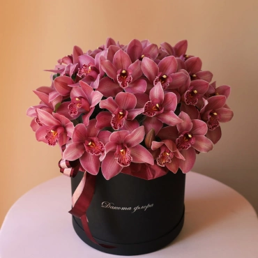 Орхидея цимбидиум в черной коробочке