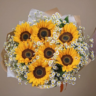 Подсолнухи и ромашки