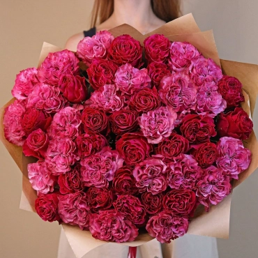 Розы Эквадорские пионовидные