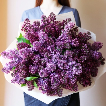Букет из сезонной сирени