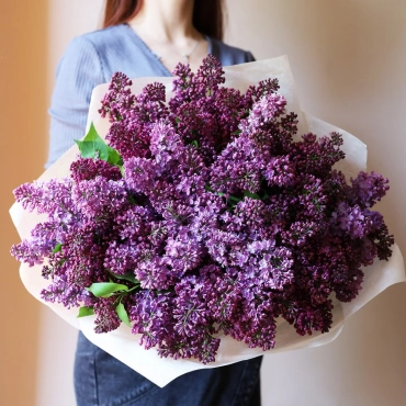 Букет из сезонной сирени