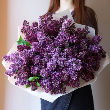 Букет из сезонной сирени