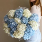 15 гортензий