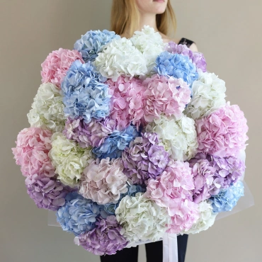 Букет гортензий Взрыв нежности