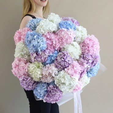 Букет гортензий Взрыв нежности