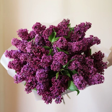 Букет сирени