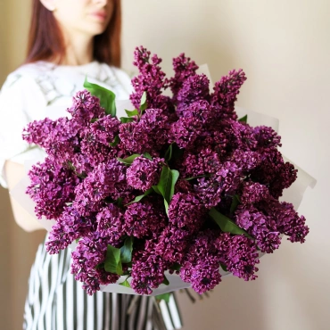 Букет сирени