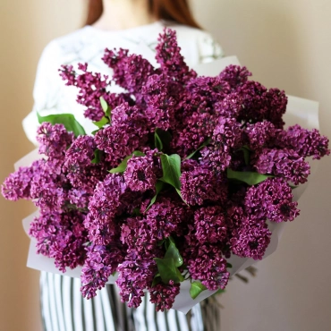 Букет сирени