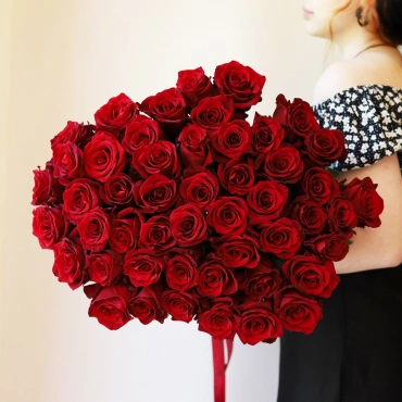 Роза Эксплорер