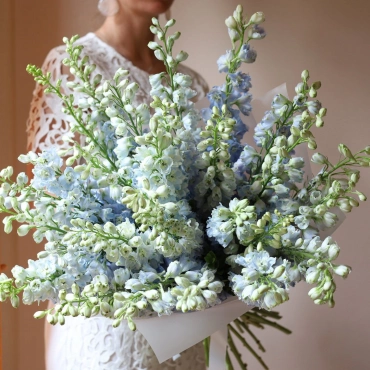 Букет голубого дельфиниума