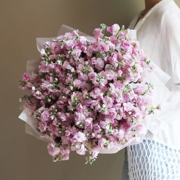 Букет розовой кустовой маттиолы