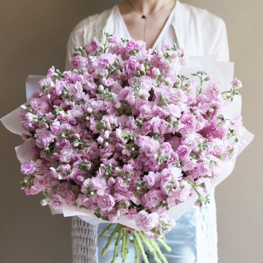 Букет розовой кустовой маттиолы