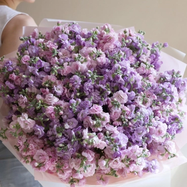 Букет розовой и фиолетовой маттиолы