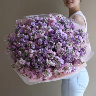 Букет розовой и фиолетовой маттиолы