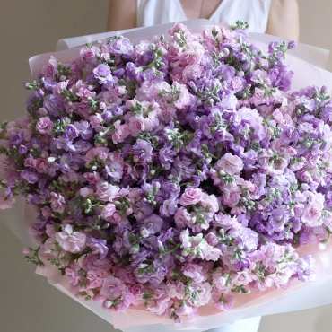 Букет розовой и фиолетовой маттиолы