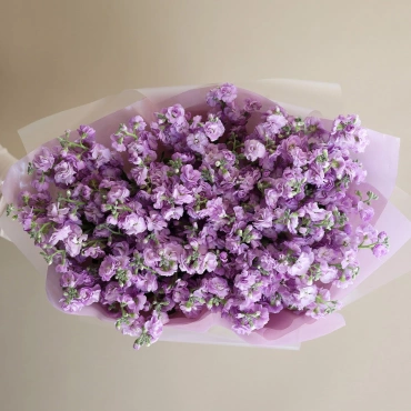 Букет розовой маттиолы