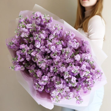 Букет розовой маттиолы