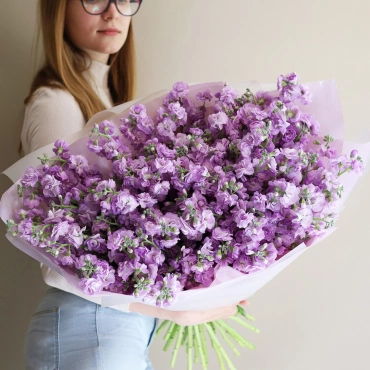 Букет розовой маттиолы