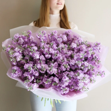 Букет розовой маттиолы