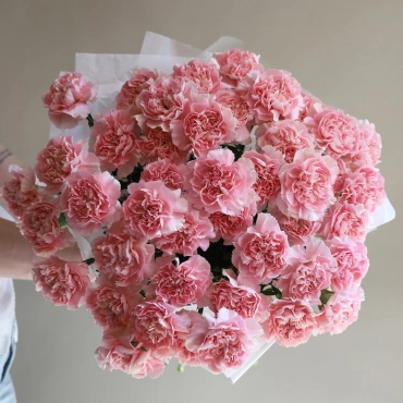 Букет из розовых диантусов