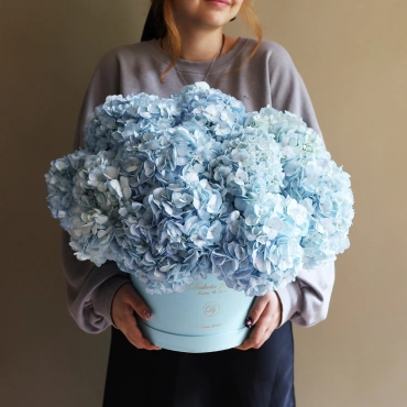Гортензия в коробке в ассортименте