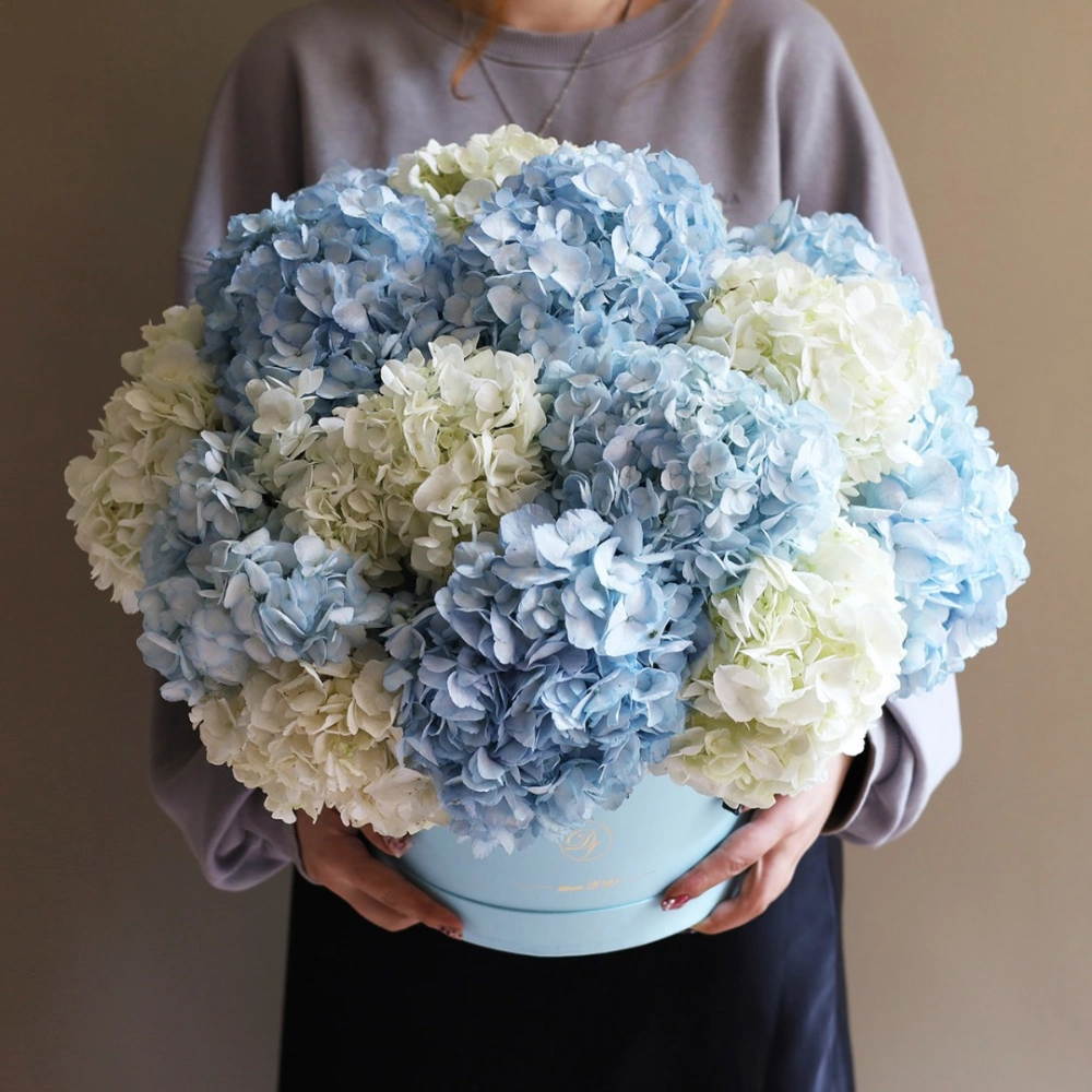 15 гортензий