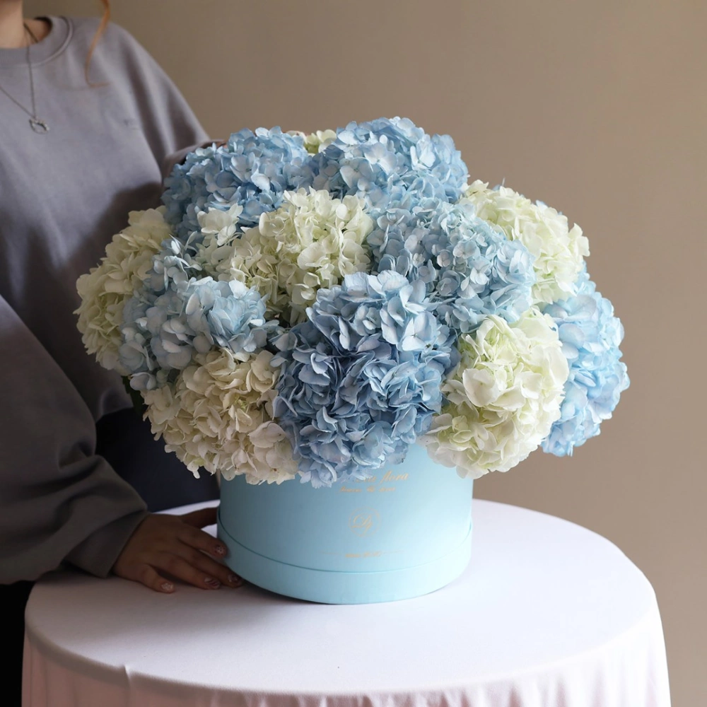 15 гортензий