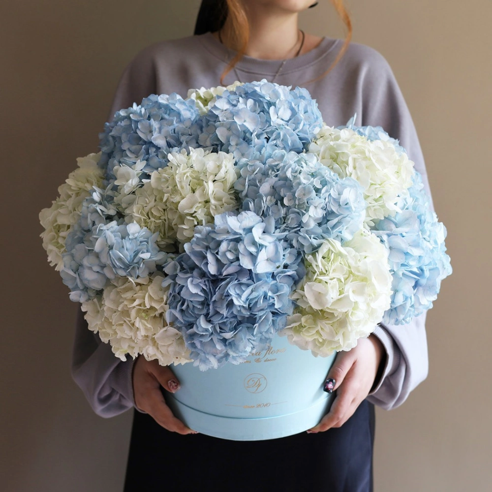 15 гортензий