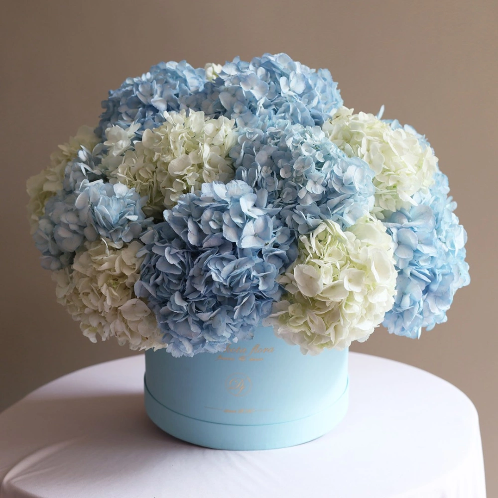 15 гортензий