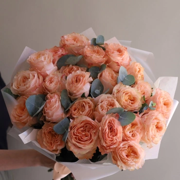 Роза Принцесса Краун