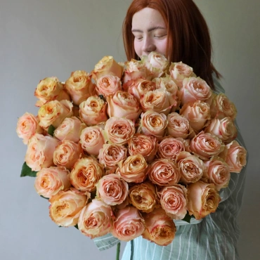 Роза Принцесса Краун