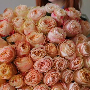 Роза Принцесса Краун