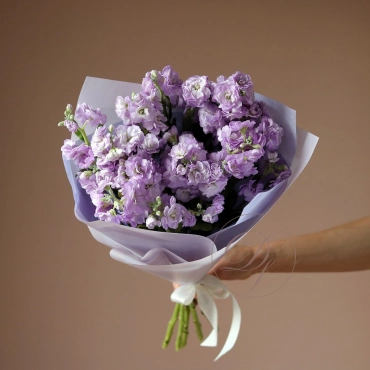 Маттиола кустовая в ассортименте