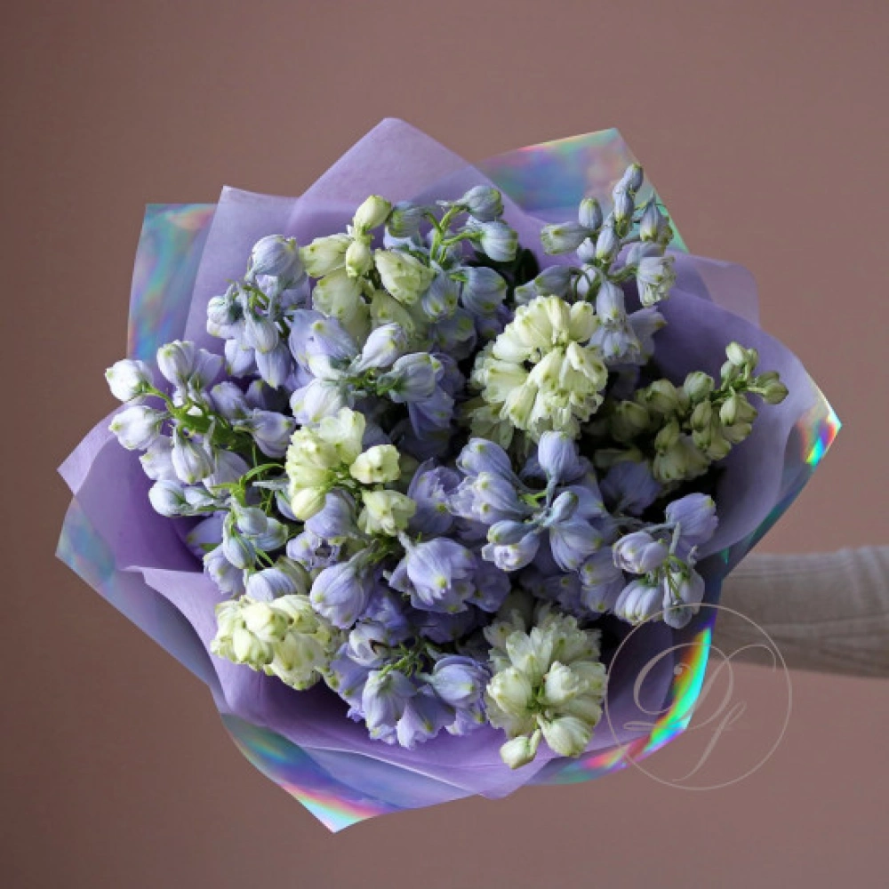 15 дельфиниумов
